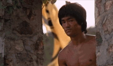 bruceleeapproves.gif