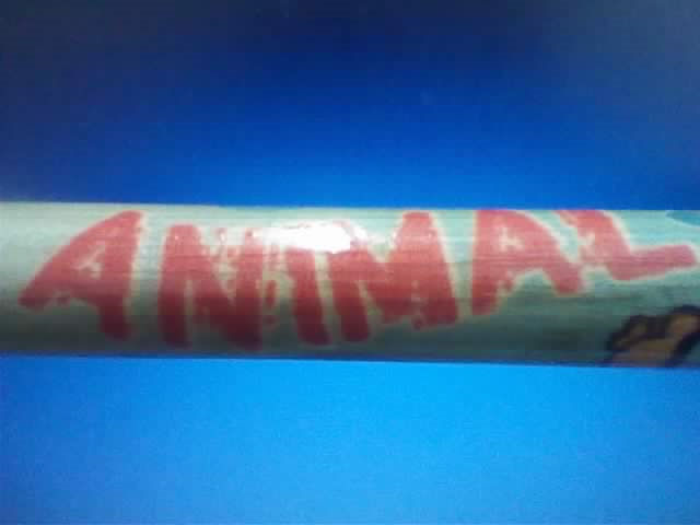 Drumstick1.jpg