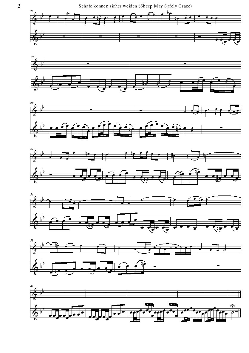 BWV2080002.jpg