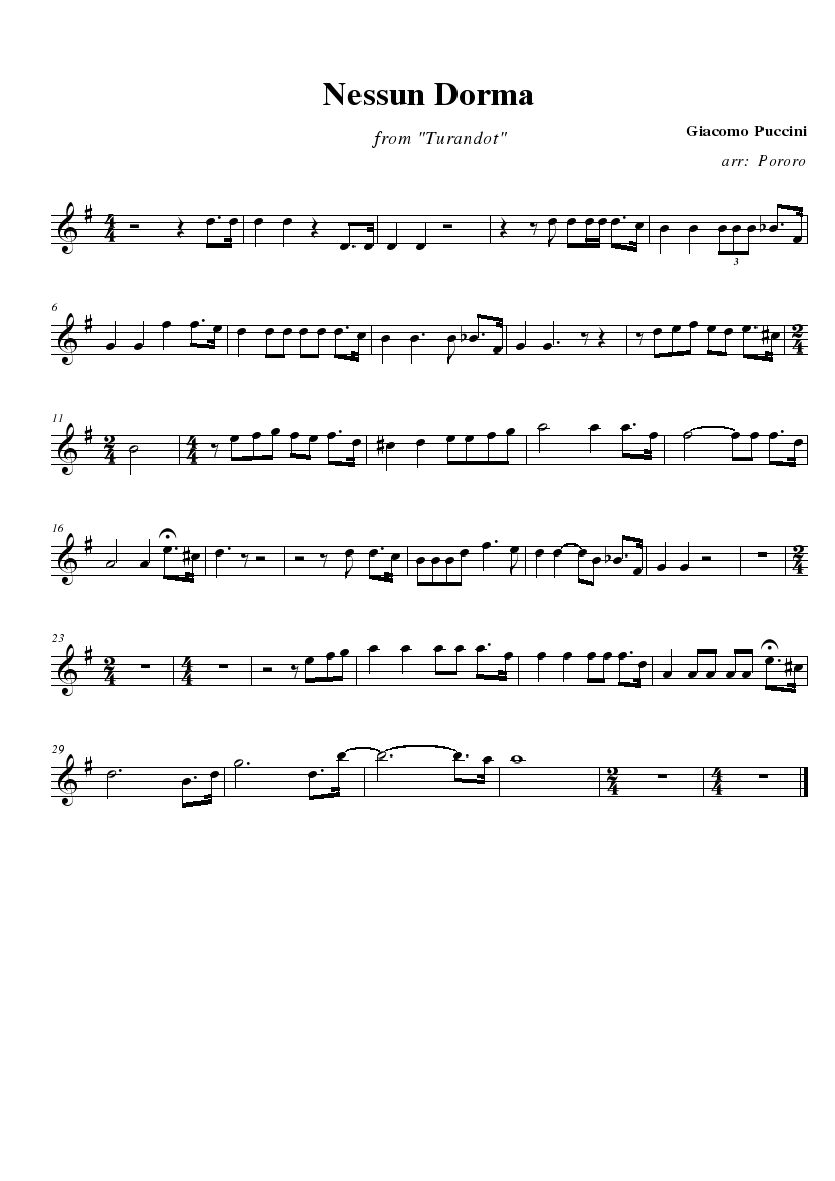 nessun dorma.jpg