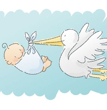 stork.jpg