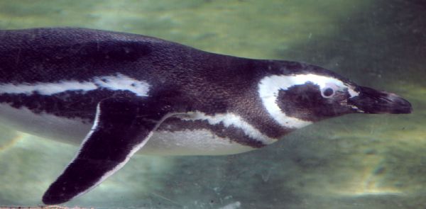28296621E.jpg