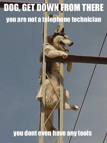 24907_1342995267209_1601066872_829693_1577861_n.jpg