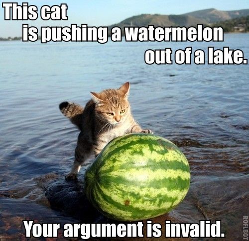 tumblr_kut2bgbaFf1qatk68o1_500.jpg