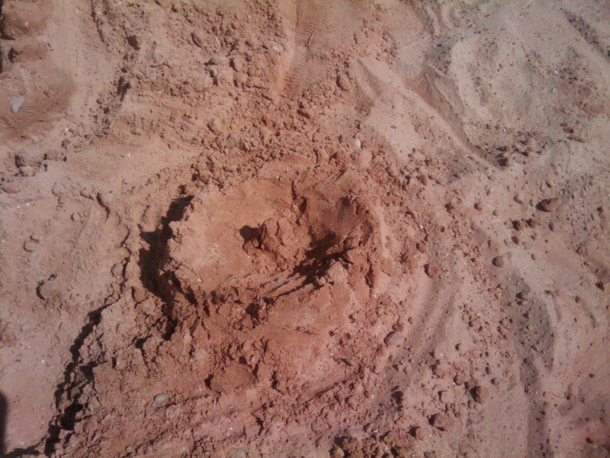 2010-05-31 16.31.04.jpg
