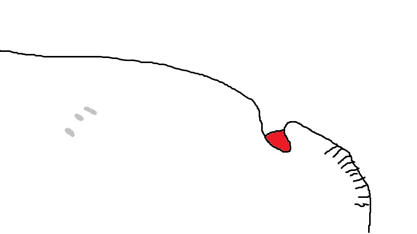 NotToScale.jpg