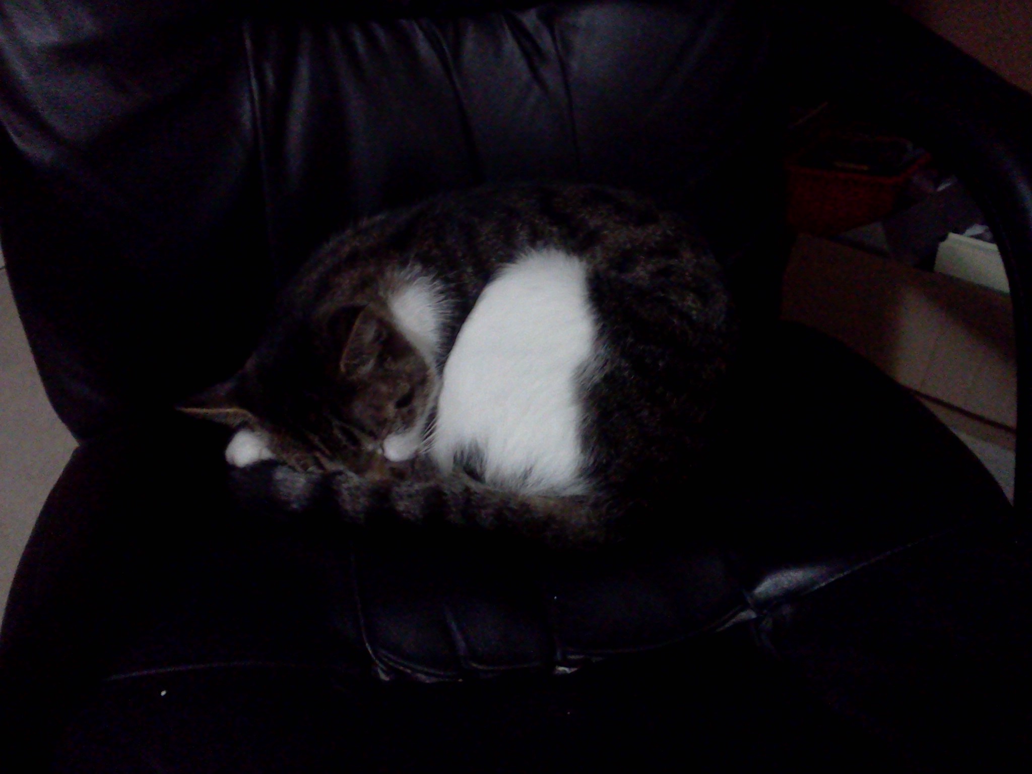 090511132344.jpg