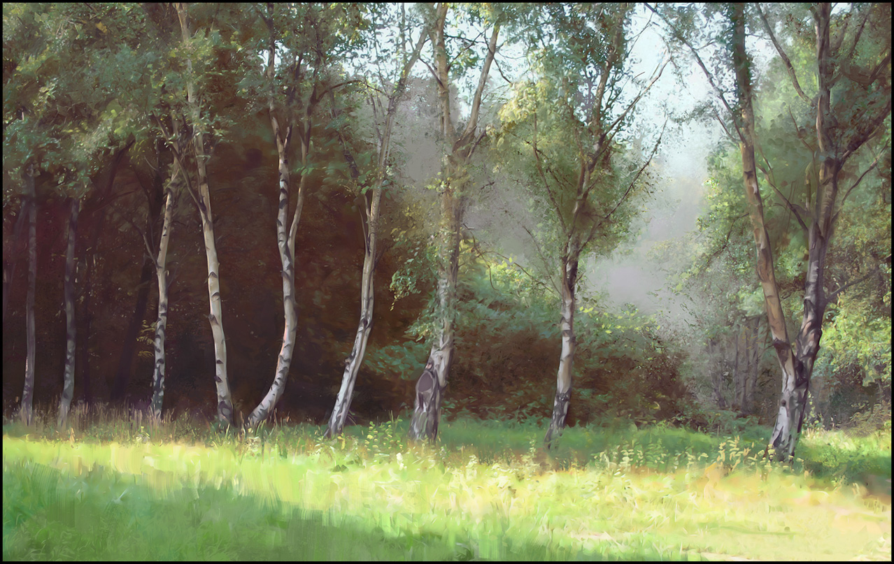 forest.jpg