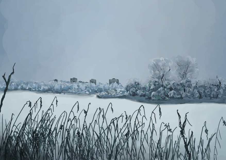 snoooooowmarsh.jpg