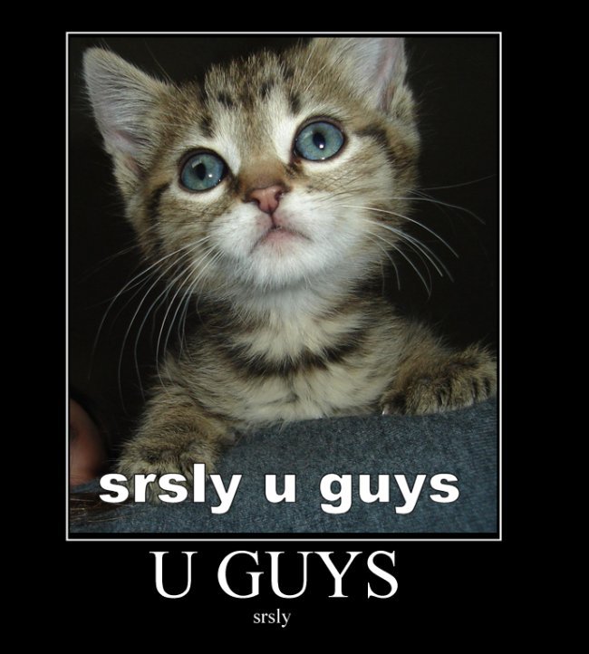srslykitten.jpg