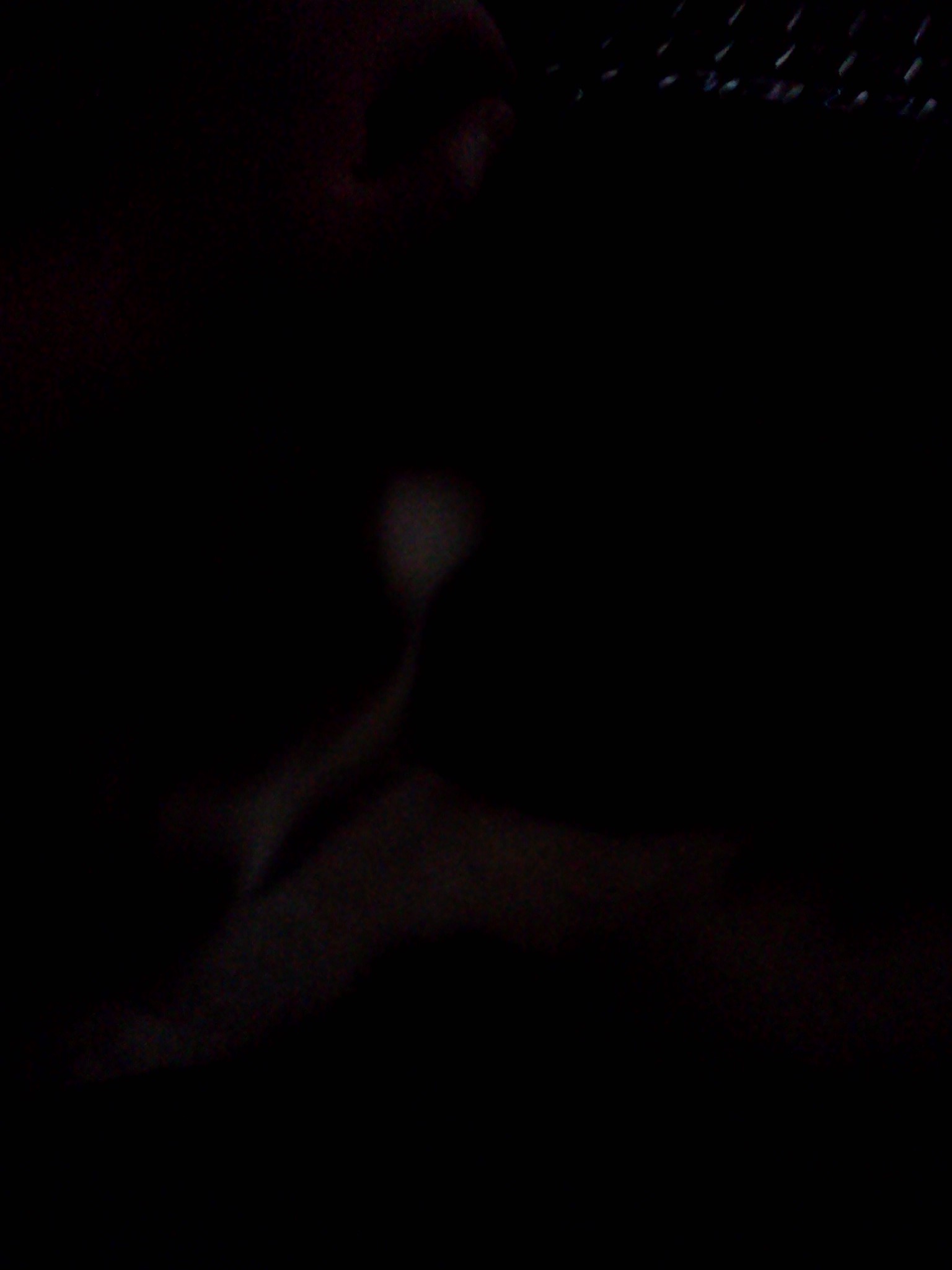 101011082706.jpg