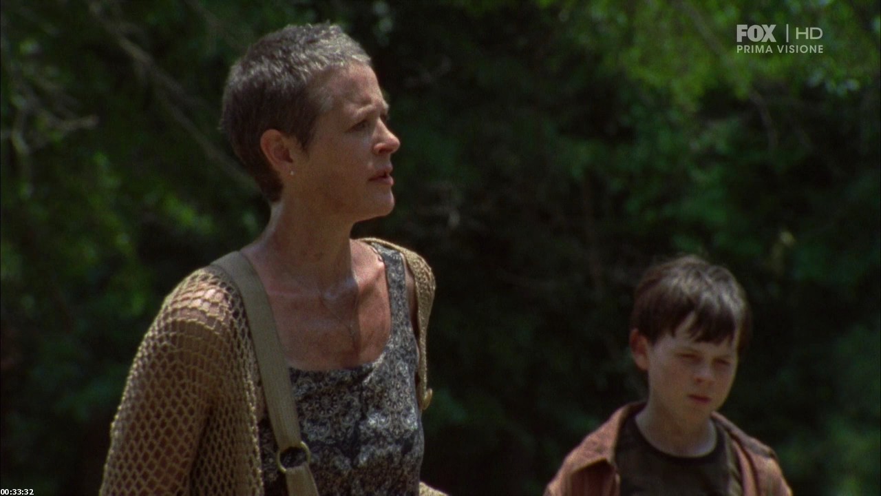 thewalkingdead2x01stradw3.jpg