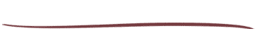divider2.gif