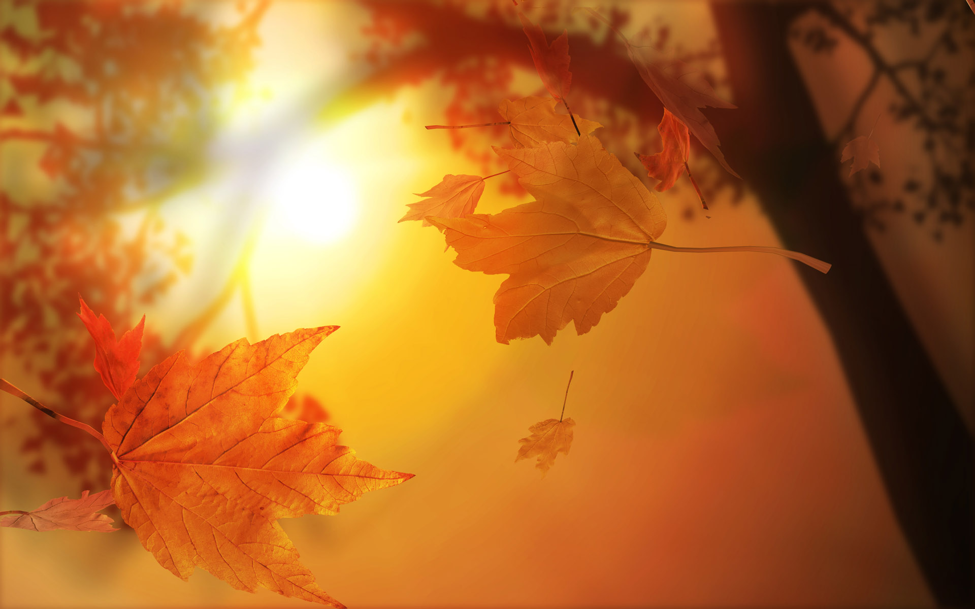 3D_Autumn_Leaves.jpg
