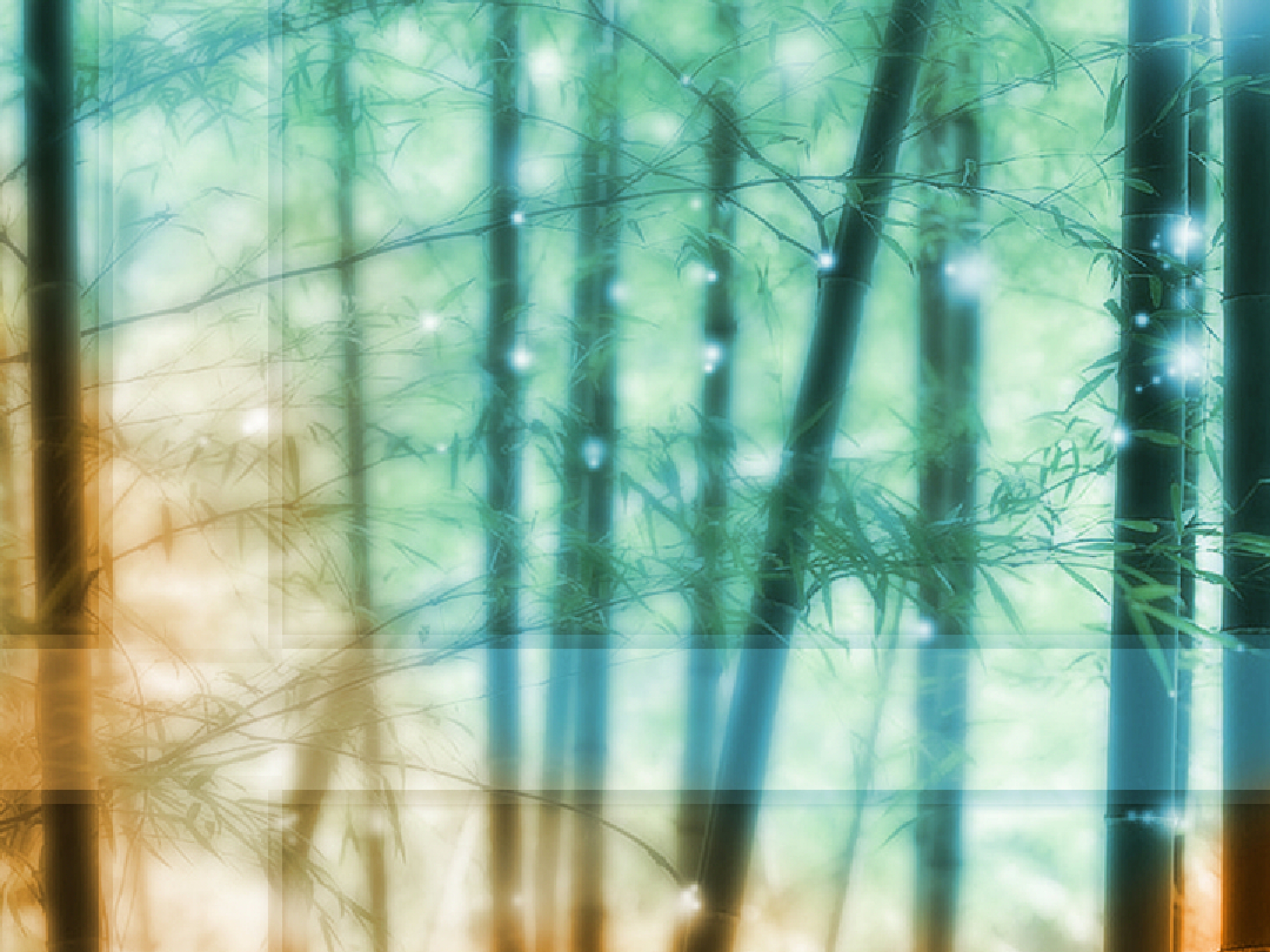 ambitionsbackground002.jpg