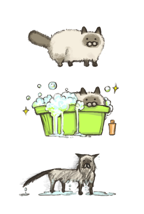 wetpussy.jpg