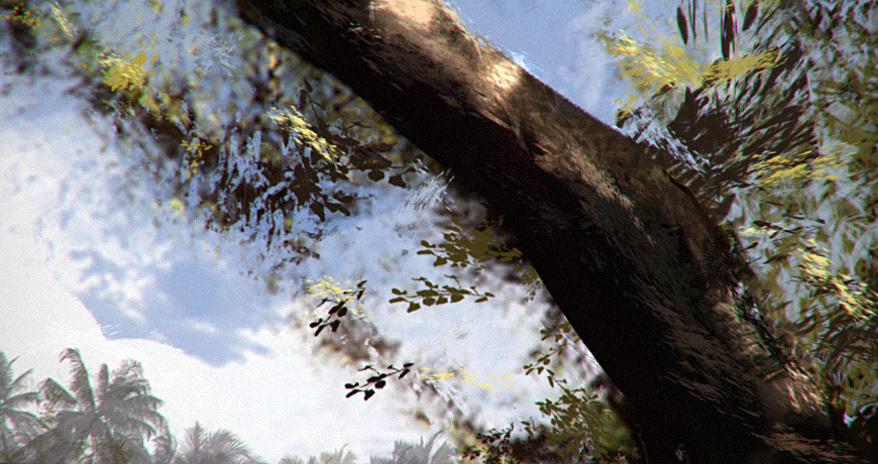 tree branch.jpg
