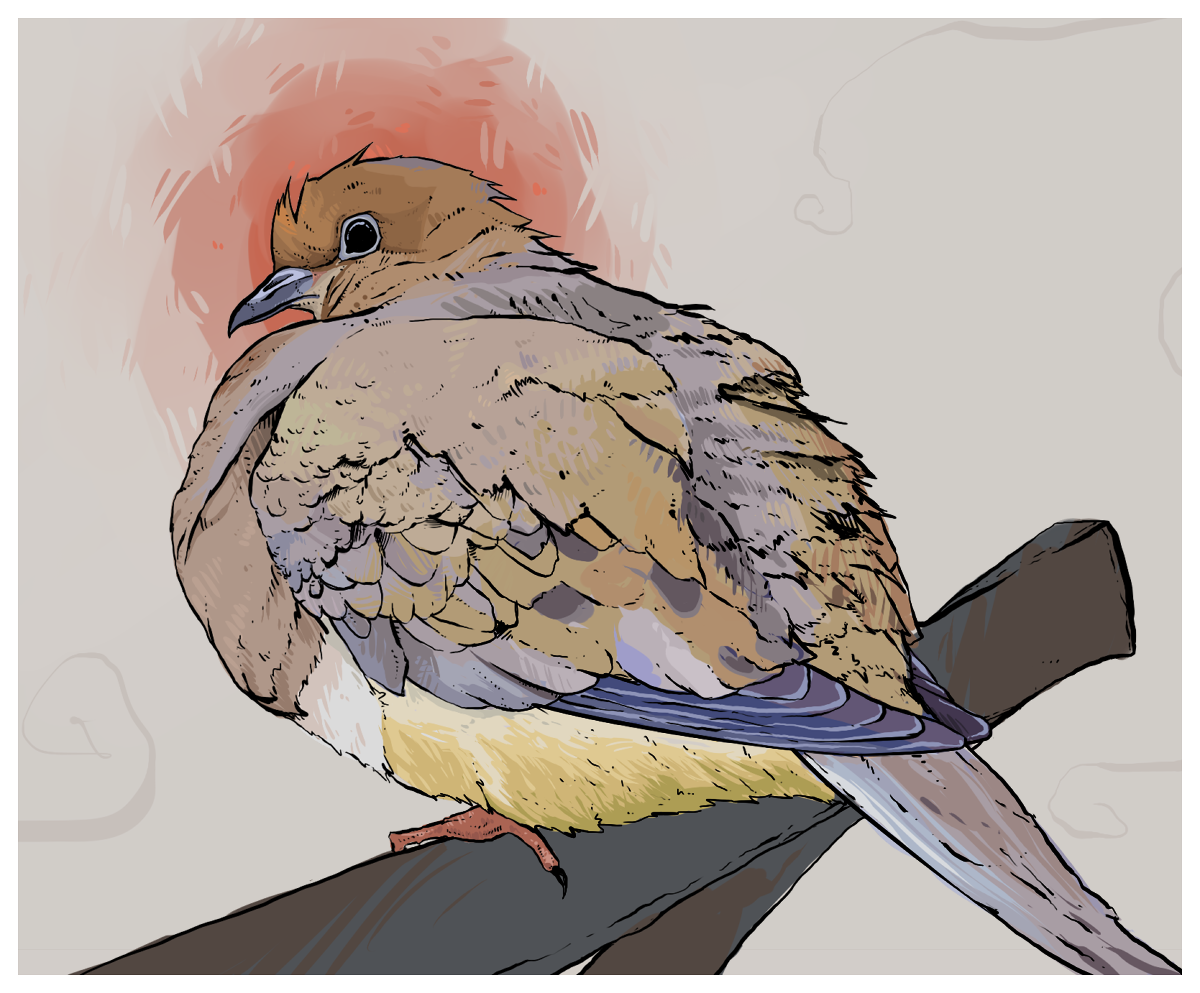 pigeon.png