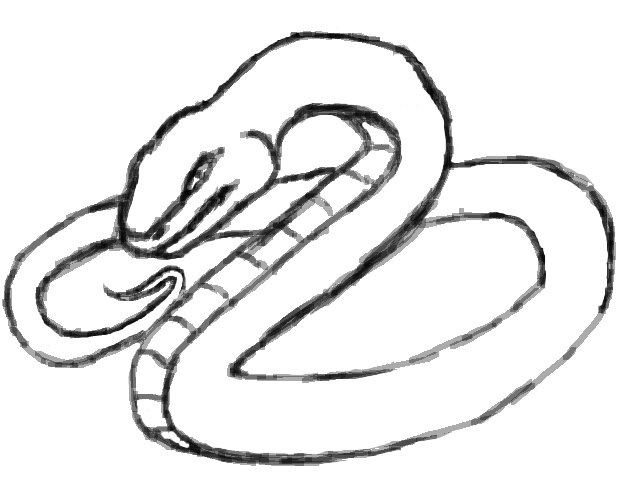 fluffy.png