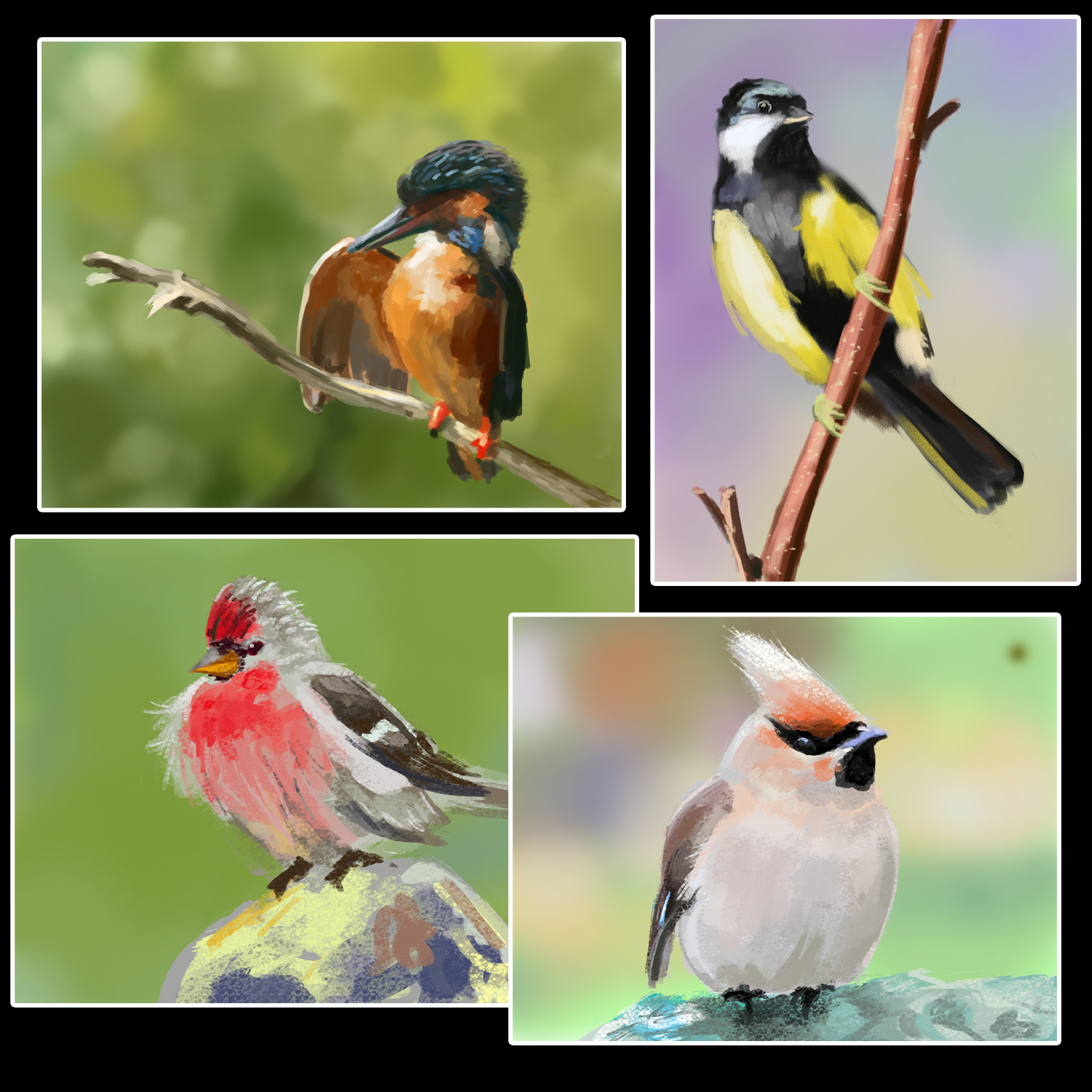 birdcollage.jpg