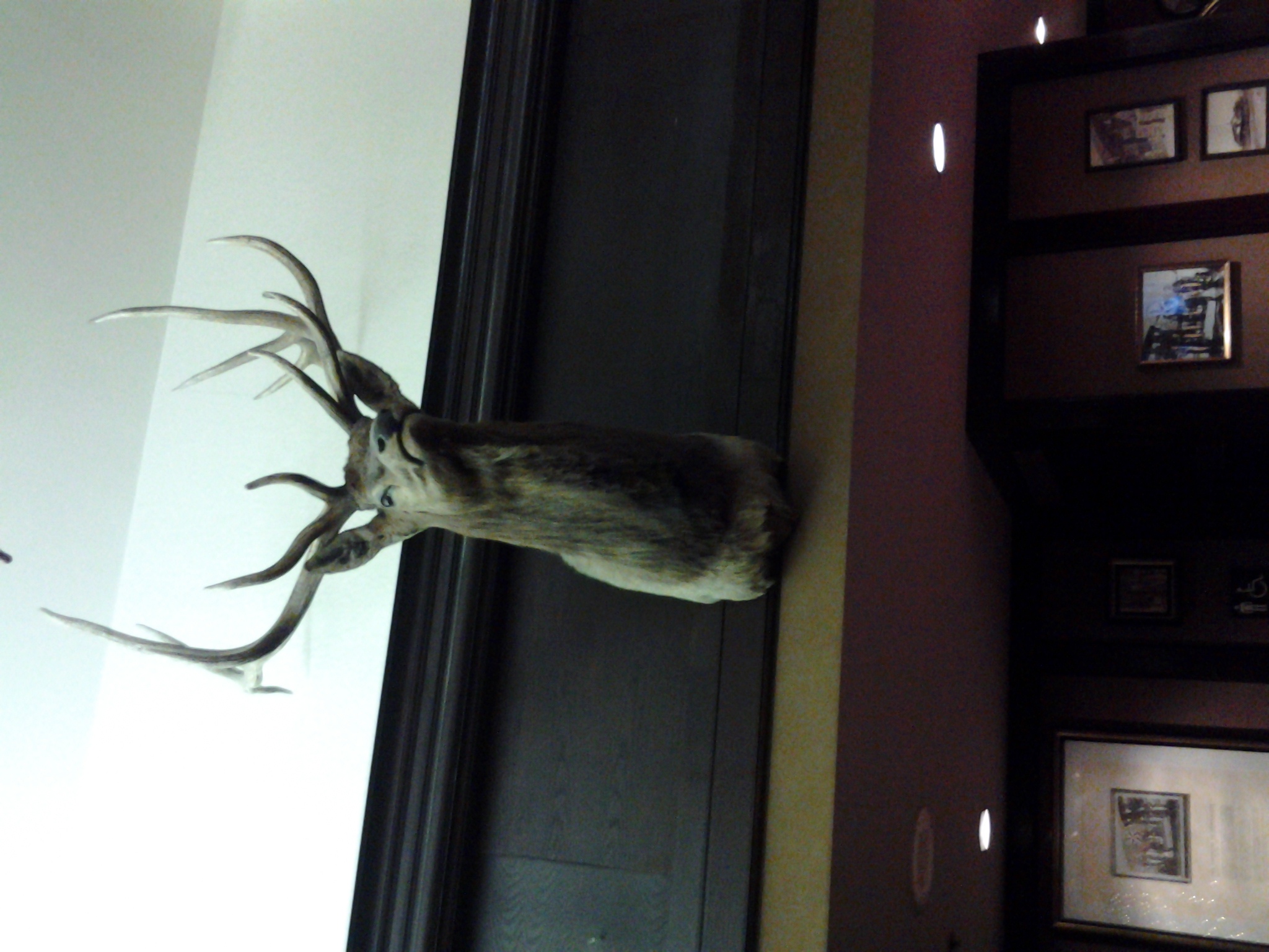 20121221_151219.jpg