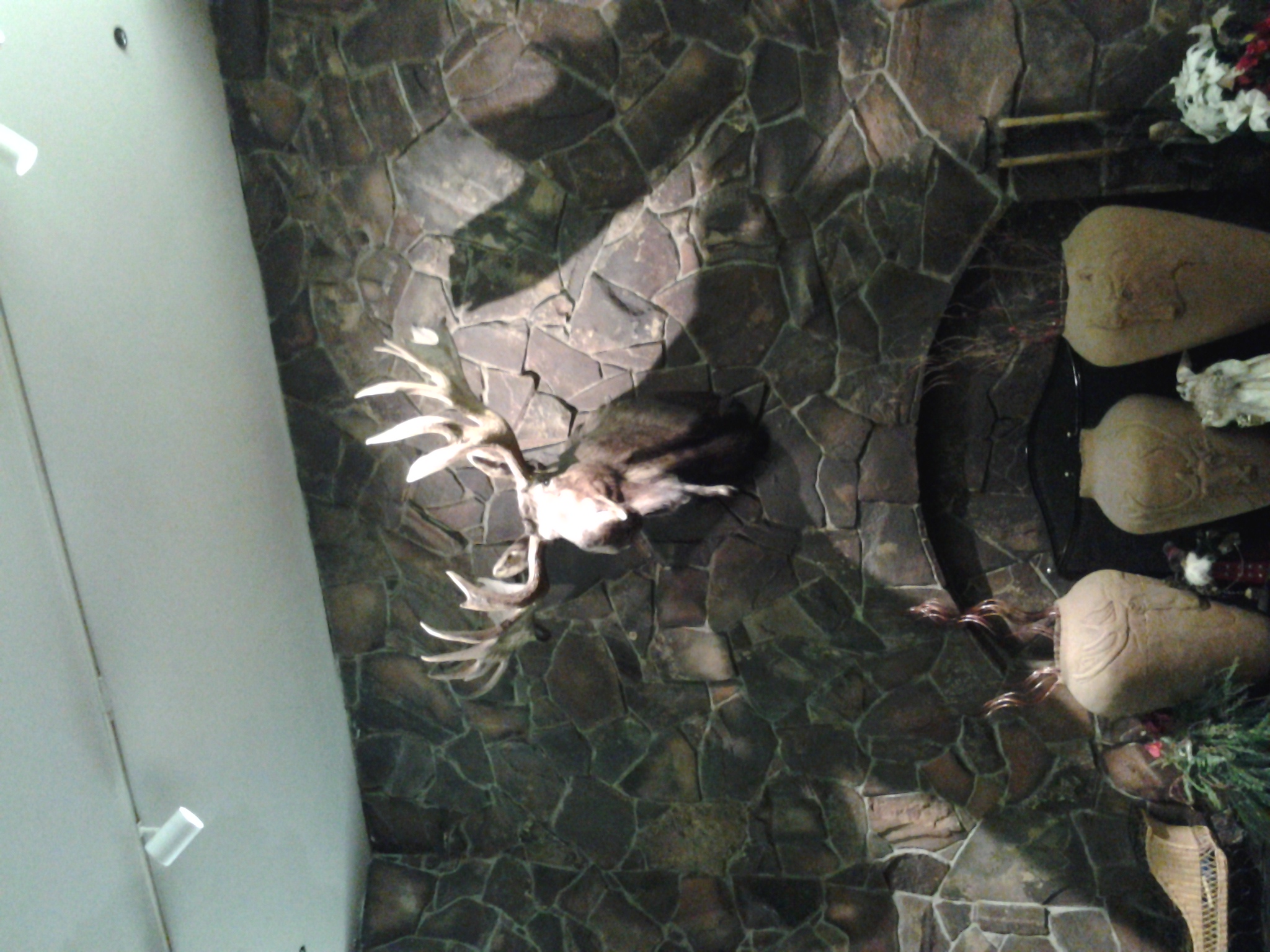 20121221_151235.jpg