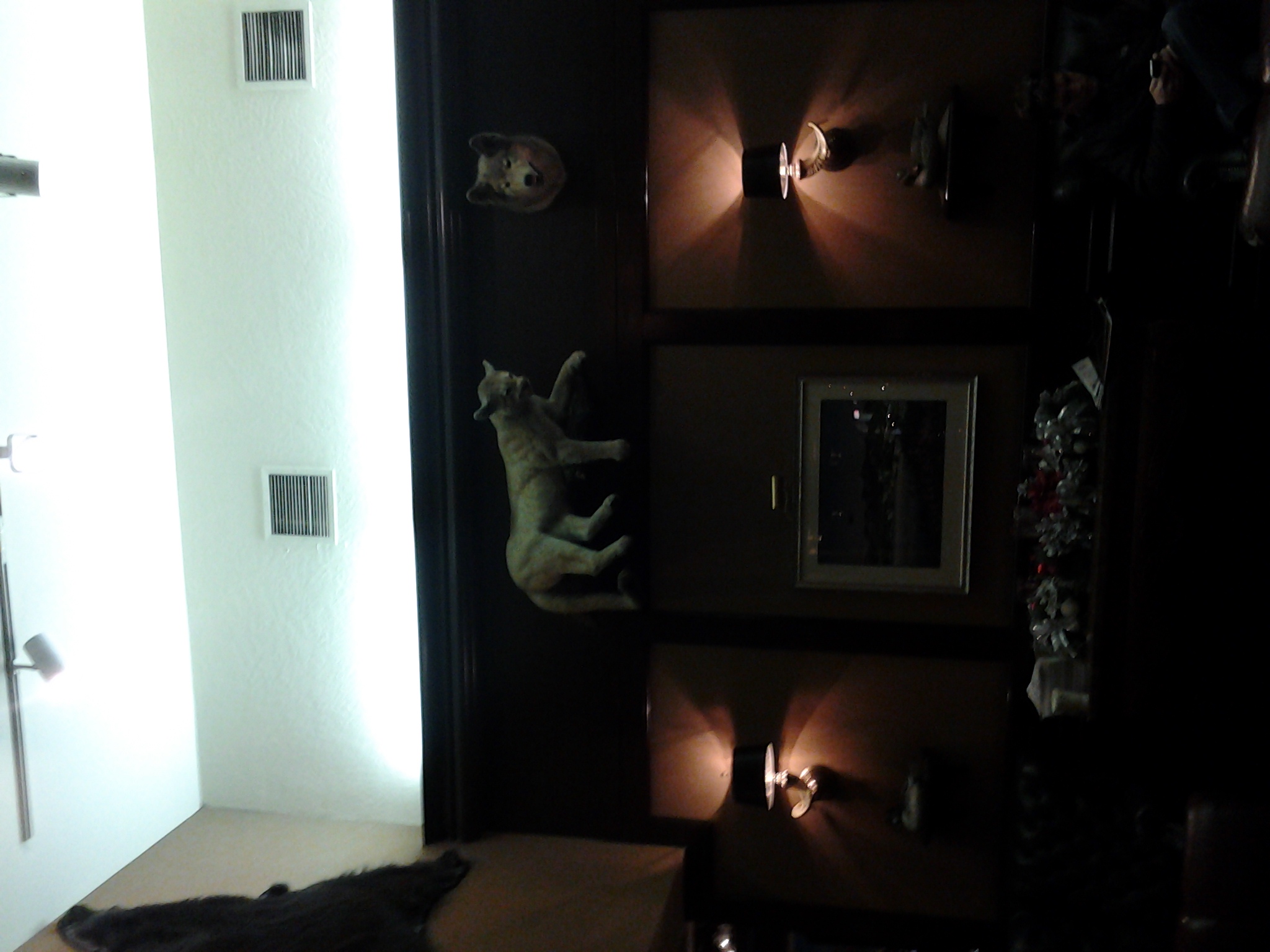 20121221_151300.jpg