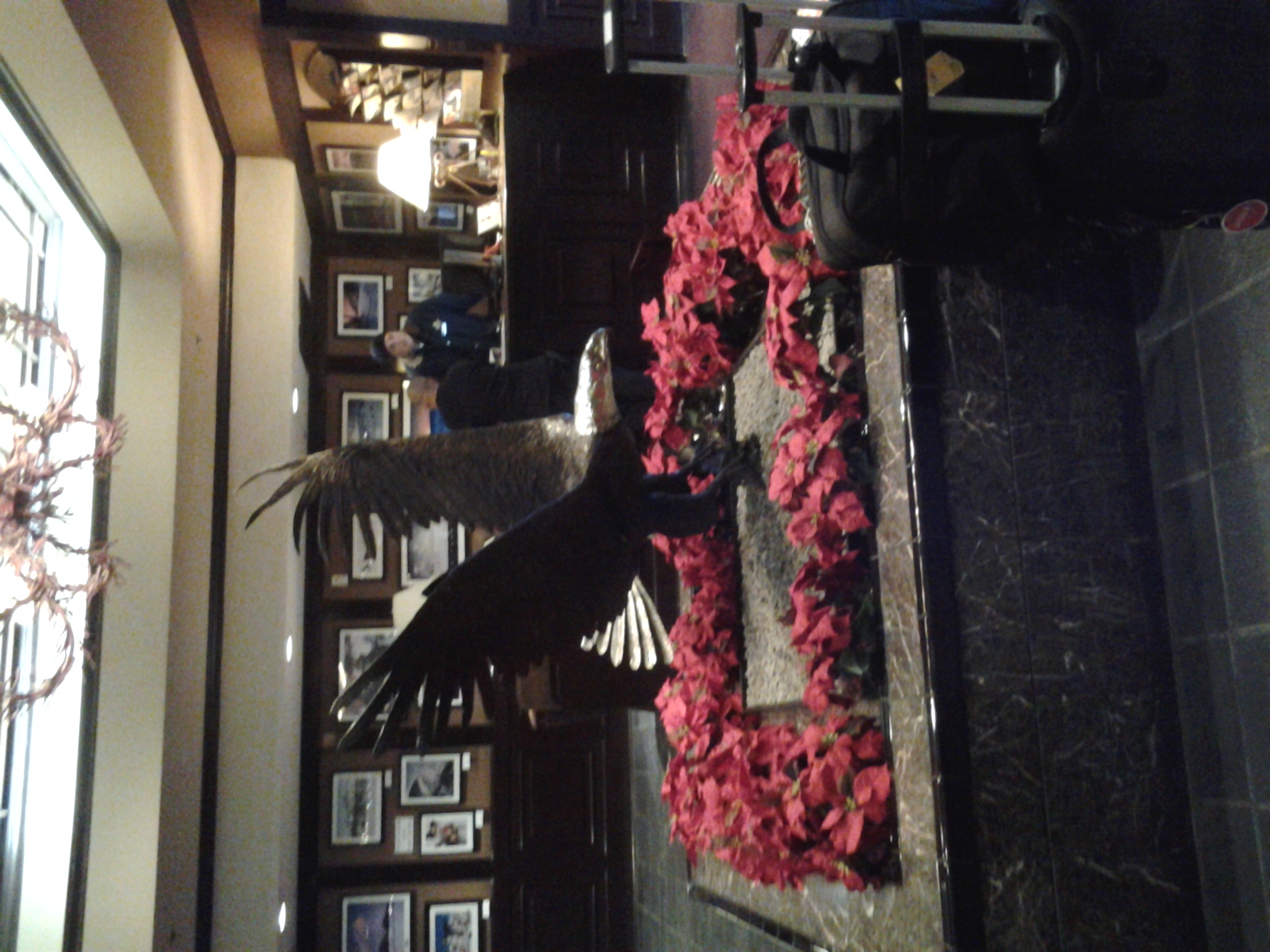 20121221_151328.jpg