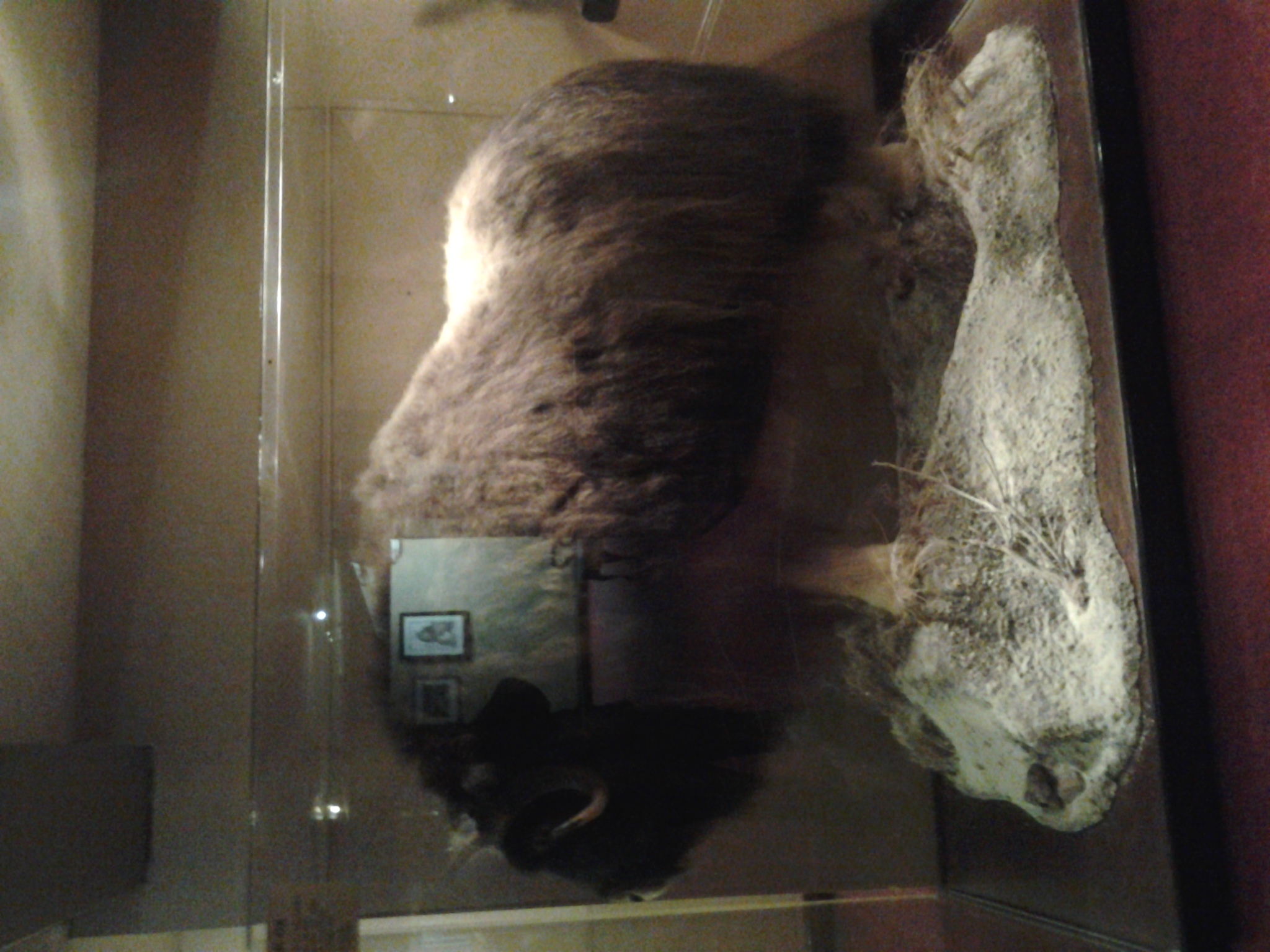 20121221_151401.jpg