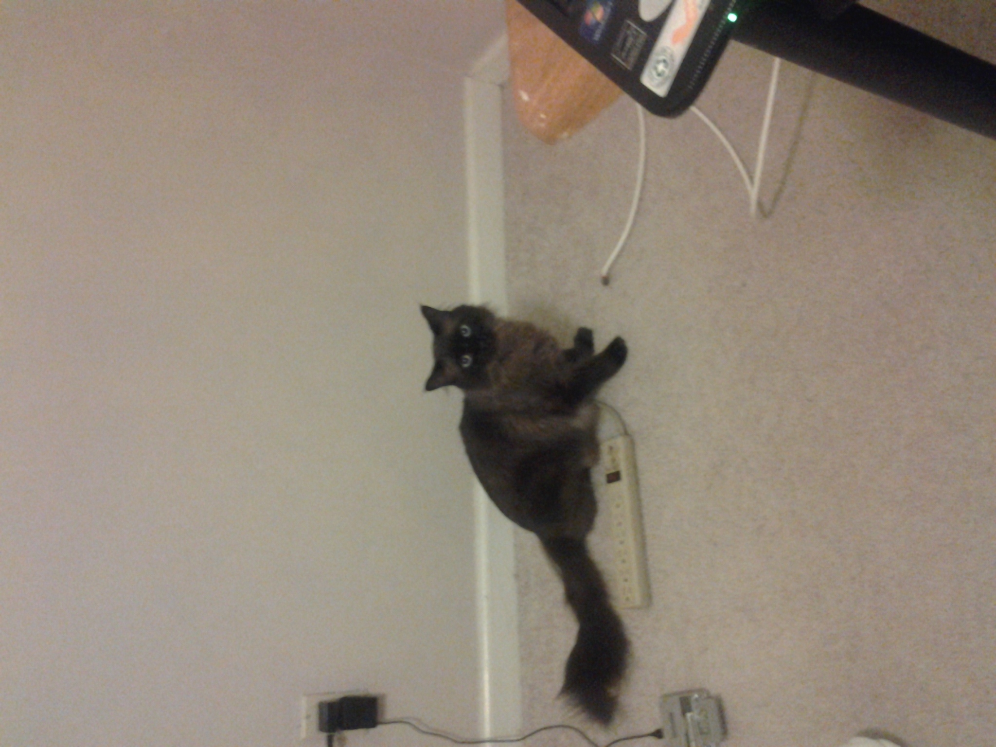 20130317_202435.jpg