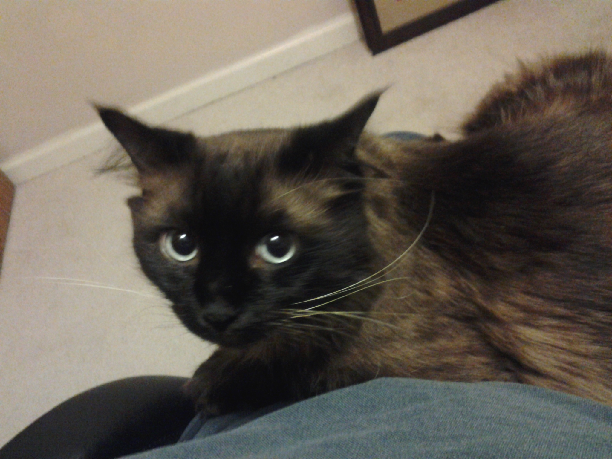 20130319_222917.jpg