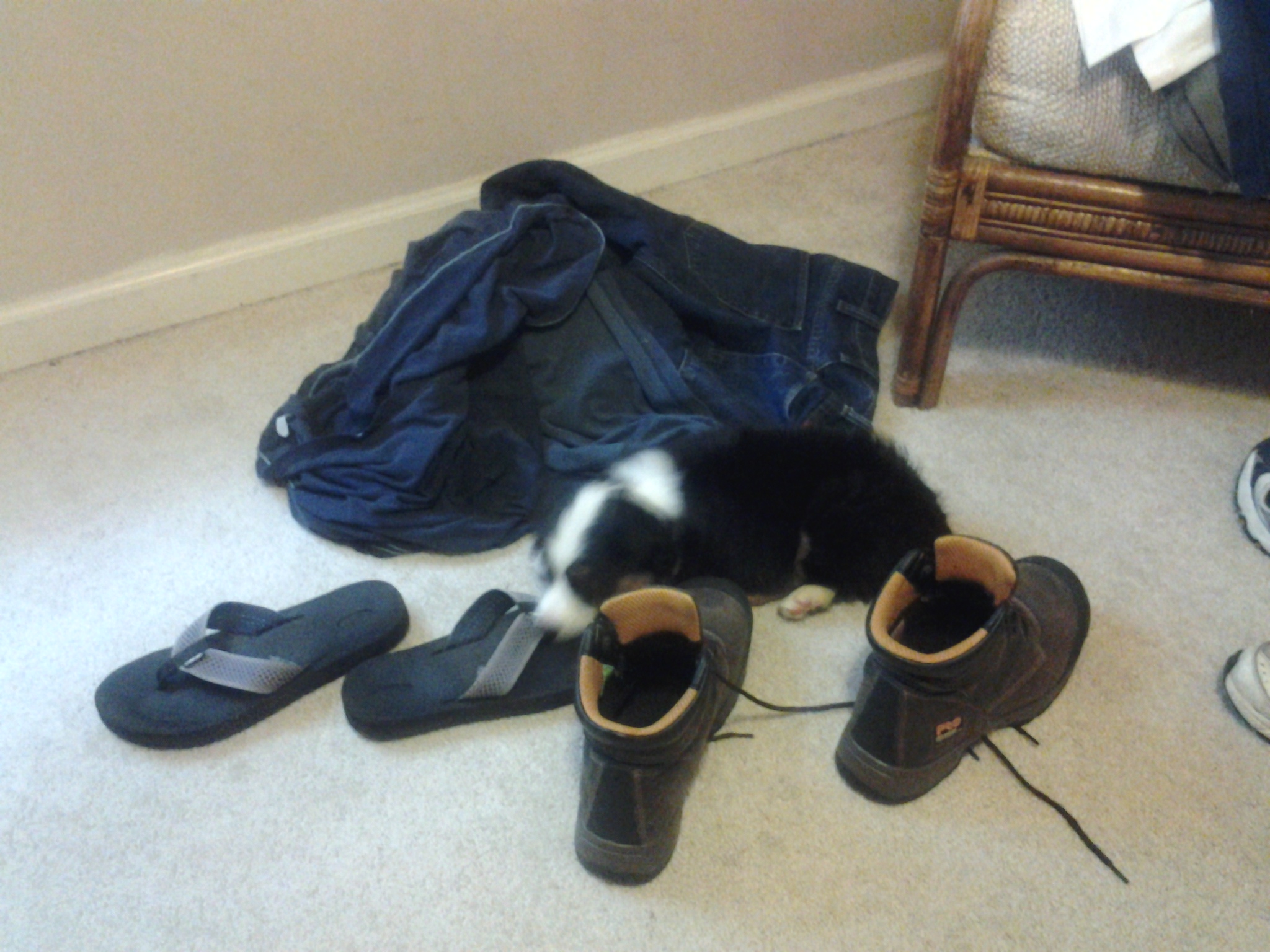 20130501_151136.jpg