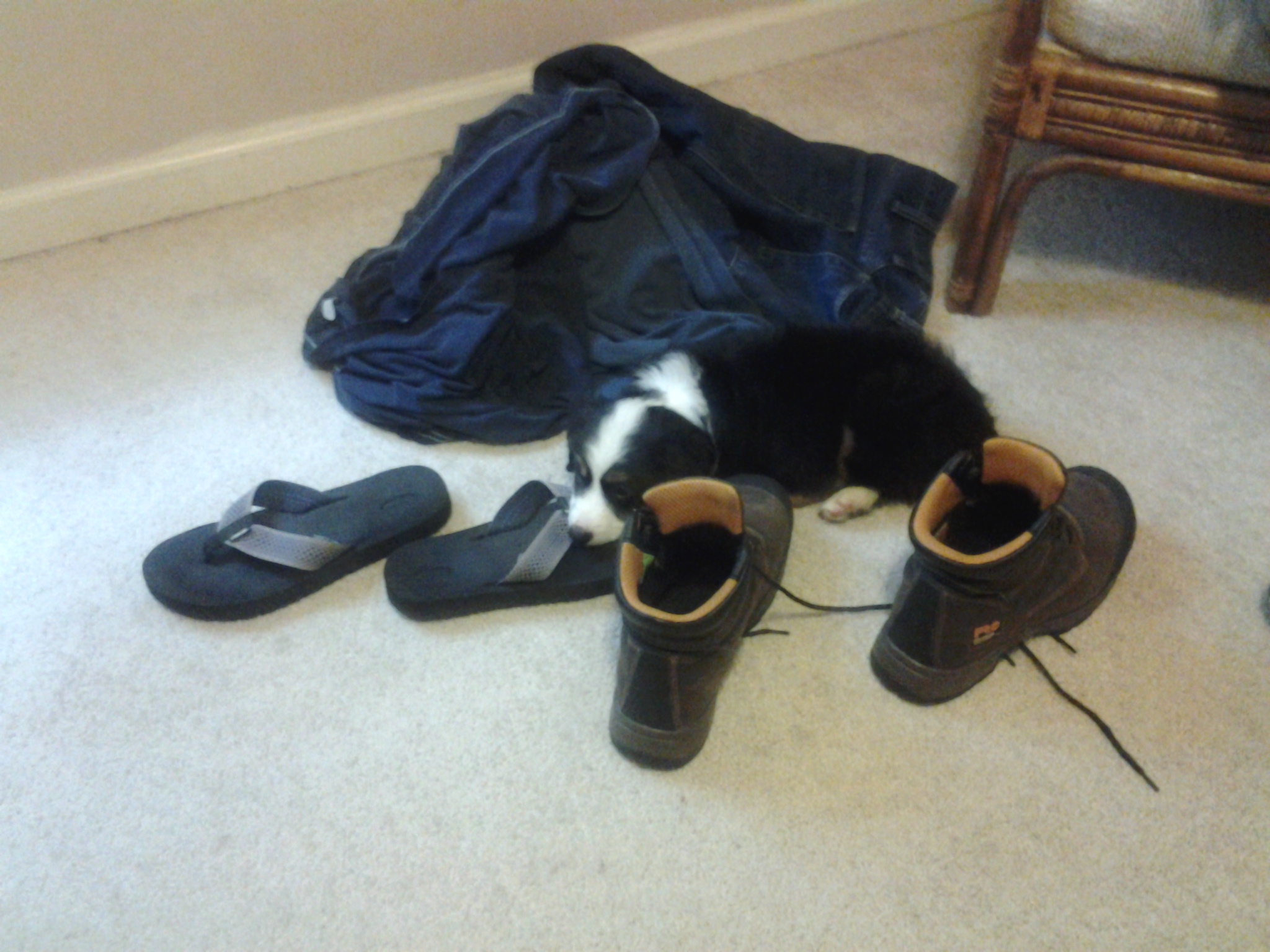 20130501_151143.jpg