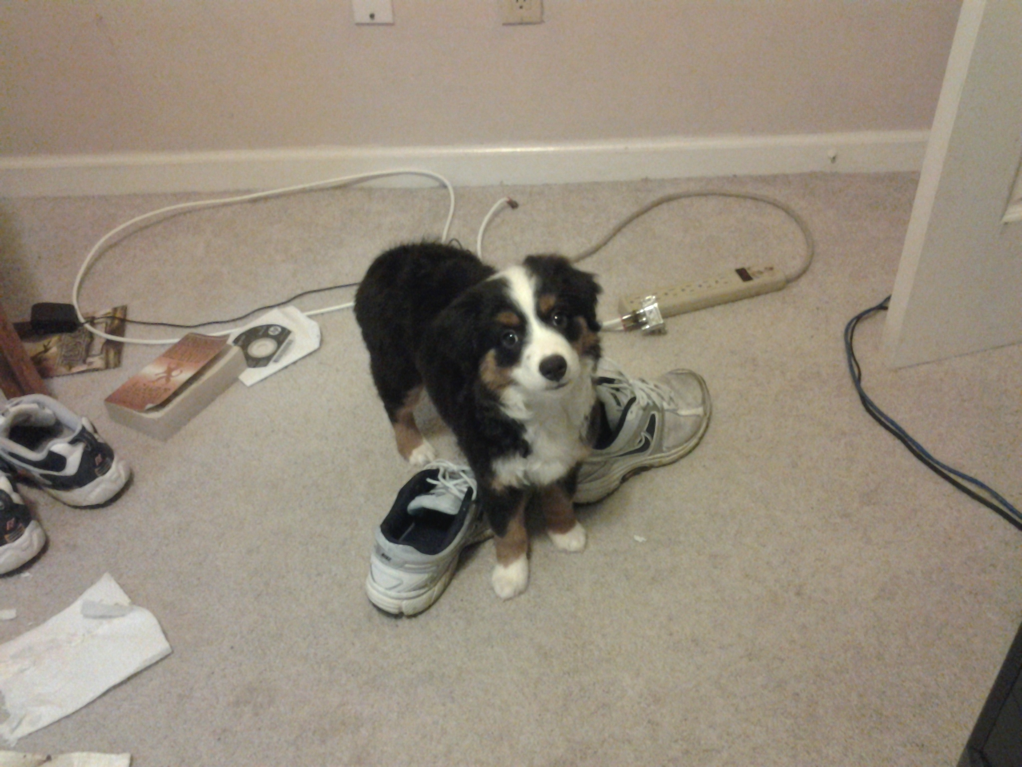 20130511_175055.jpg