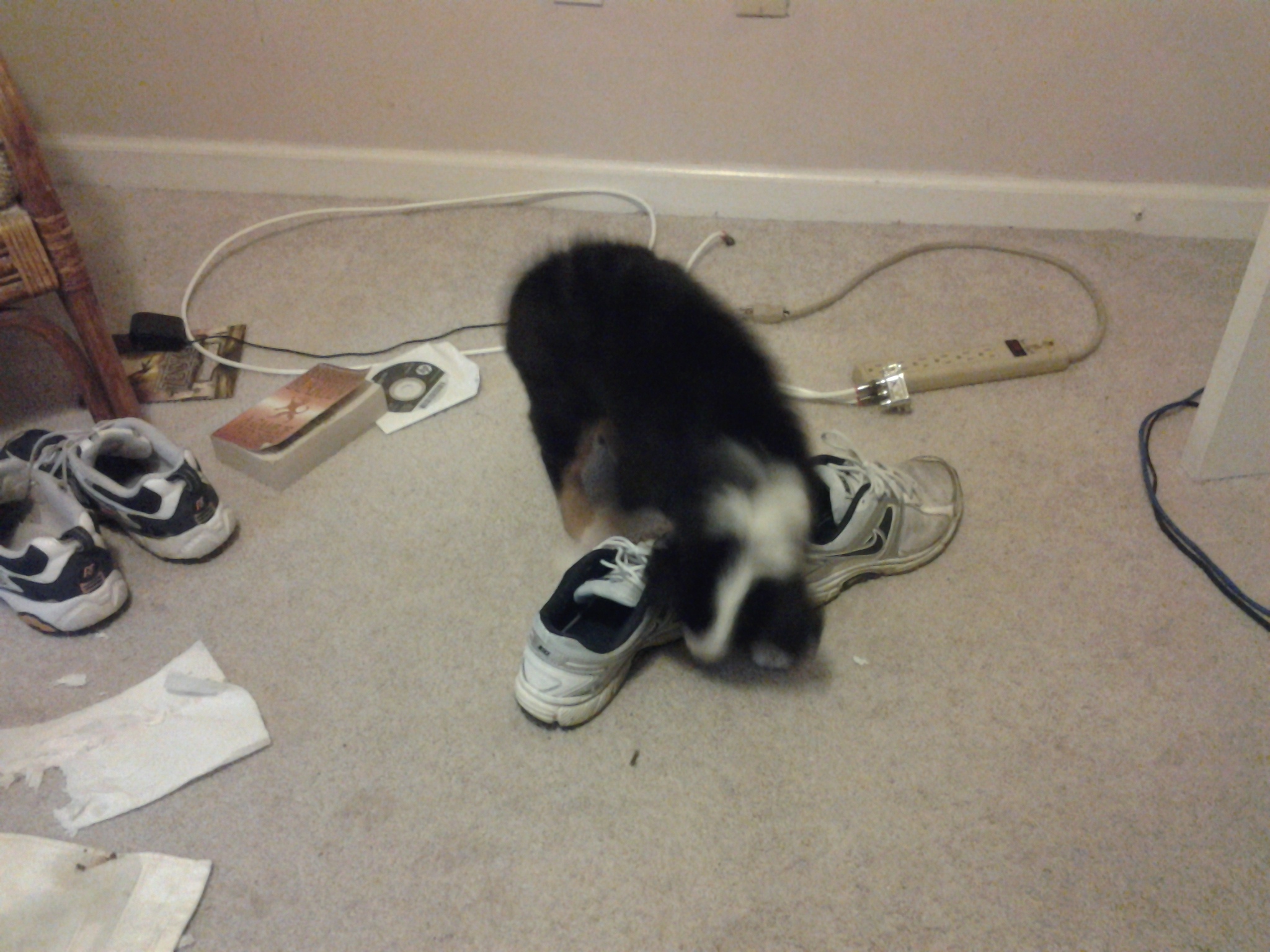 20130511_175041.jpg