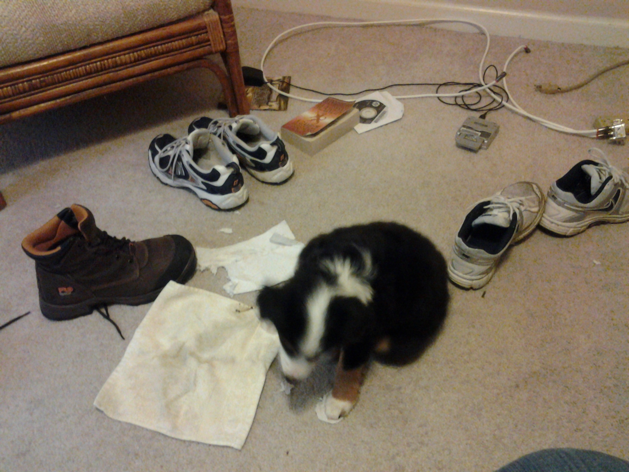 20130511_174953.jpg