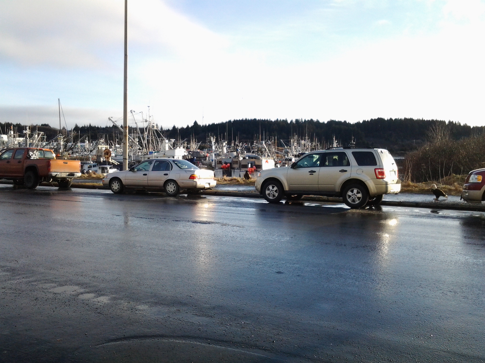 20130111_132915.jpg