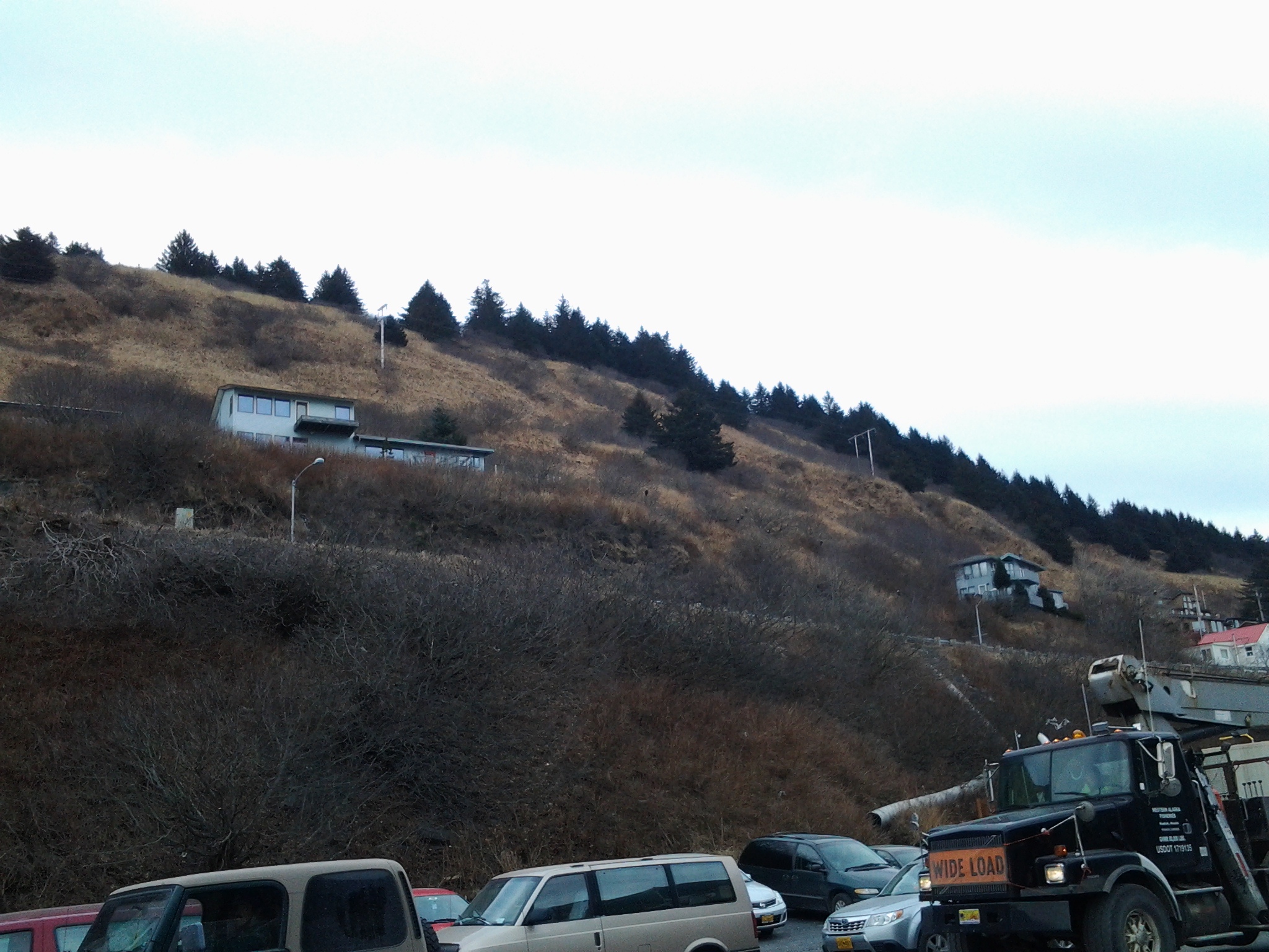 20130127_115205.jpg