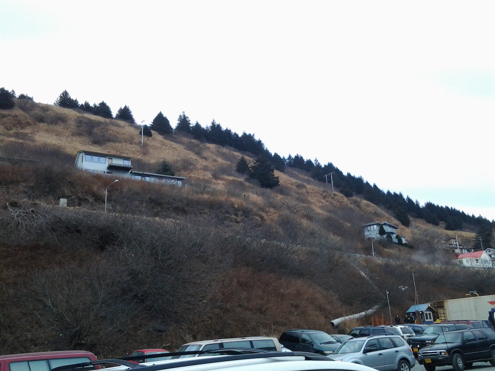 20130127_115222.jpg