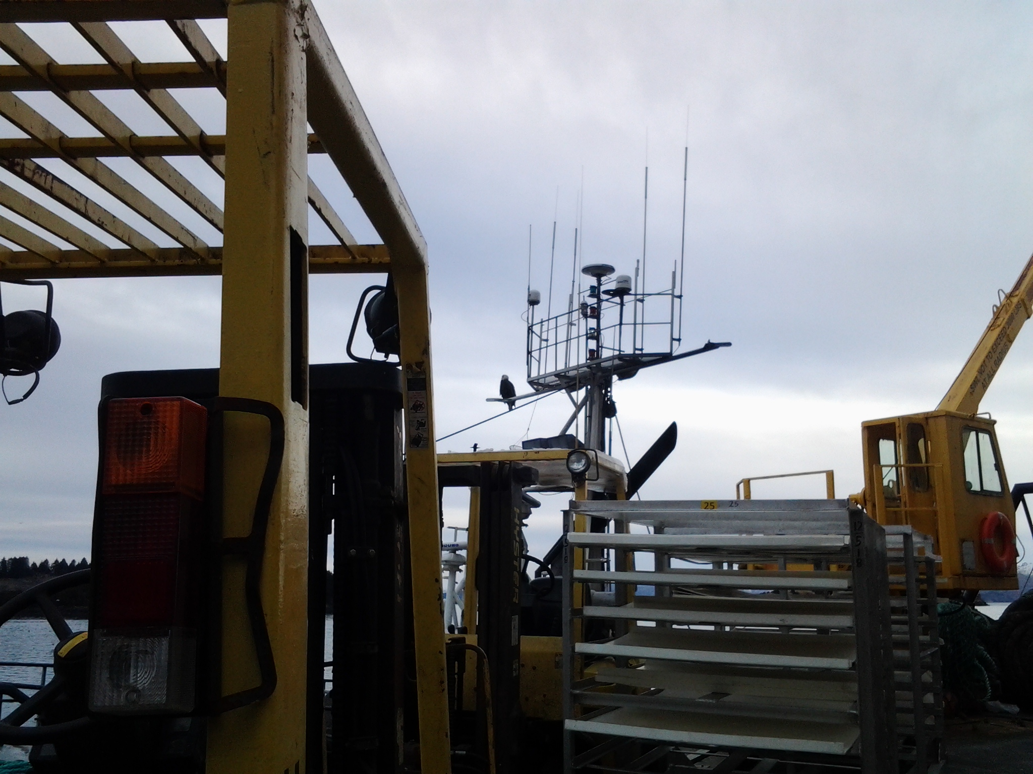 20130127_115430.jpg