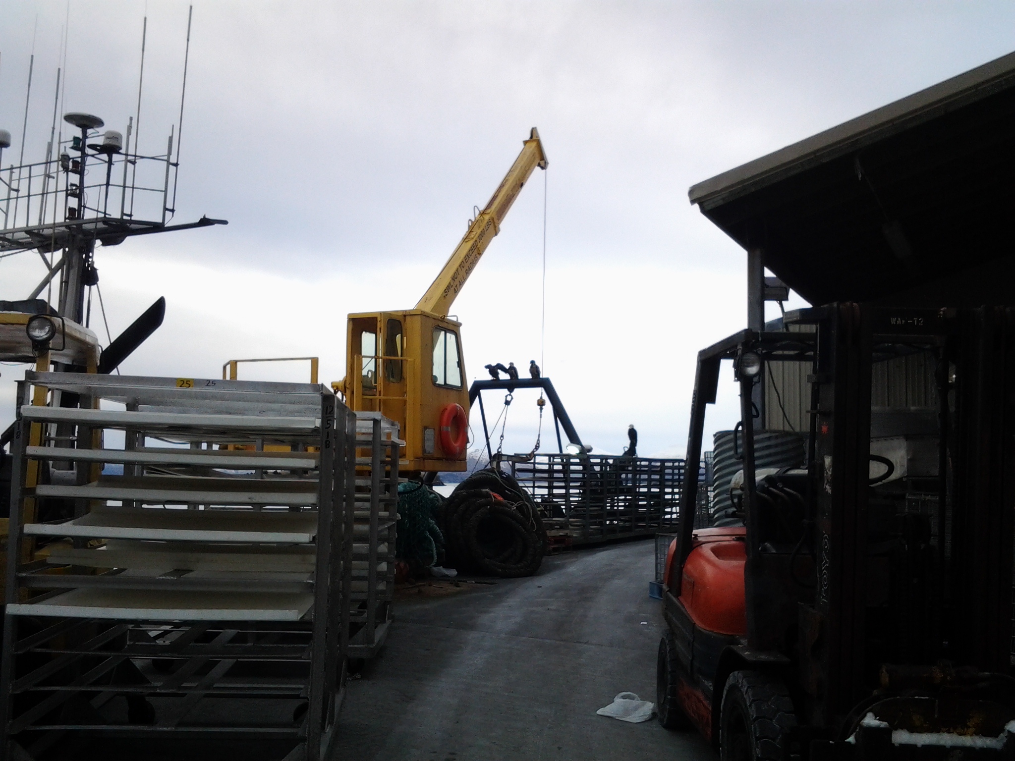 20130127_115435.jpg