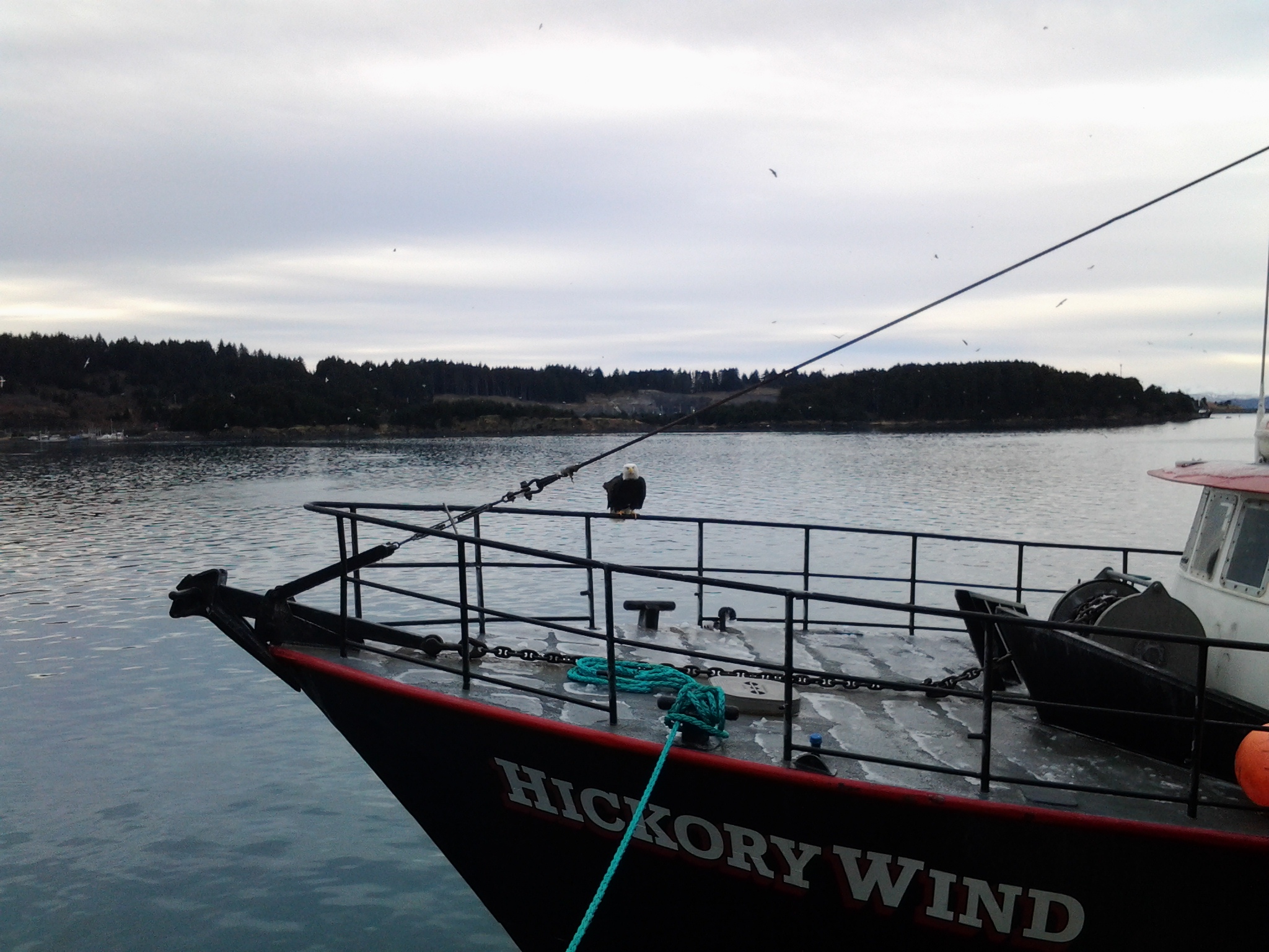 20130127_115527.jpg