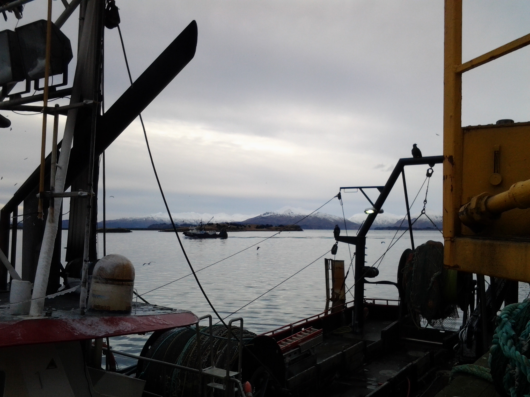 20130127_115610.jpg
