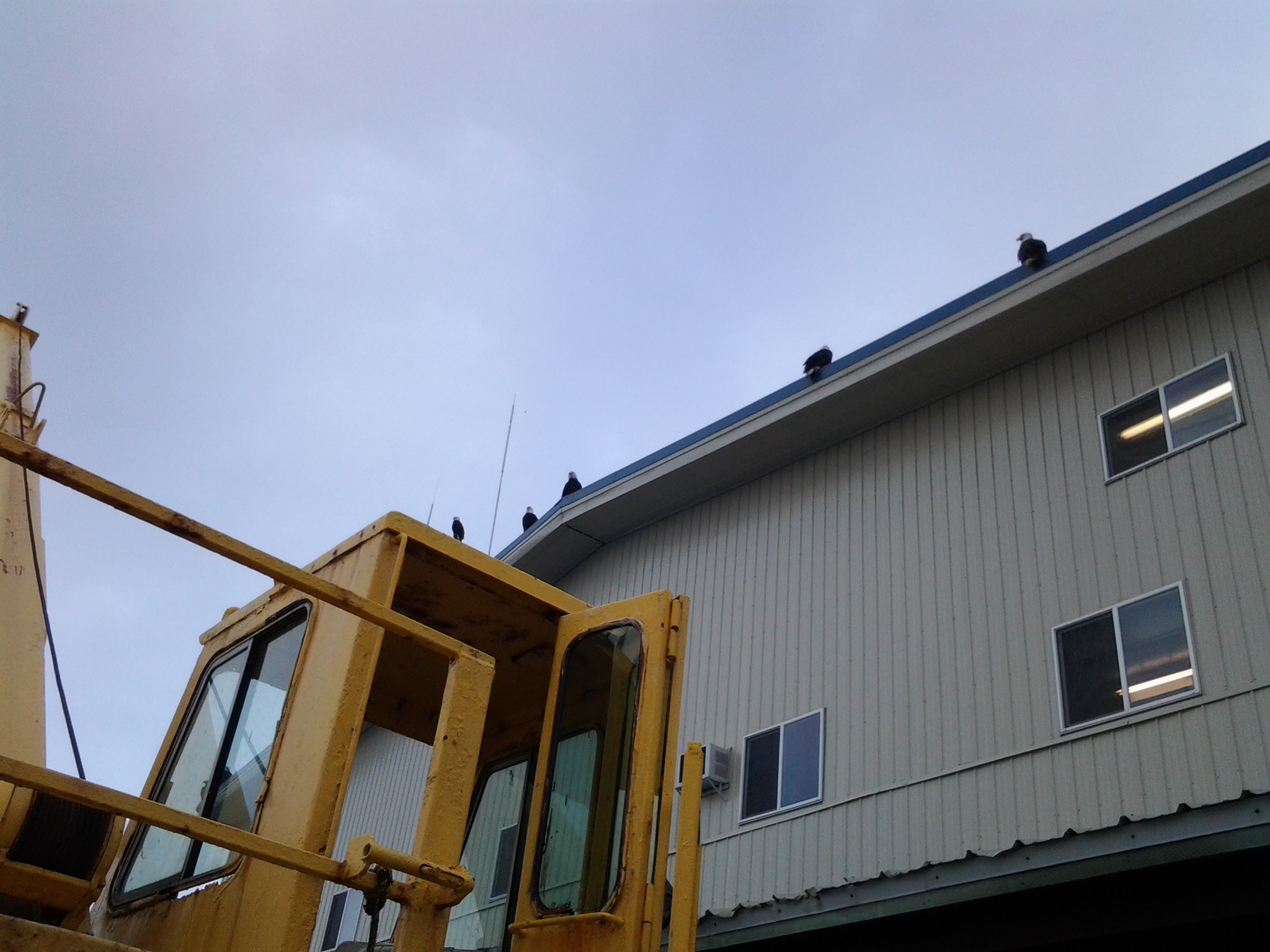 20130127_115617.jpg