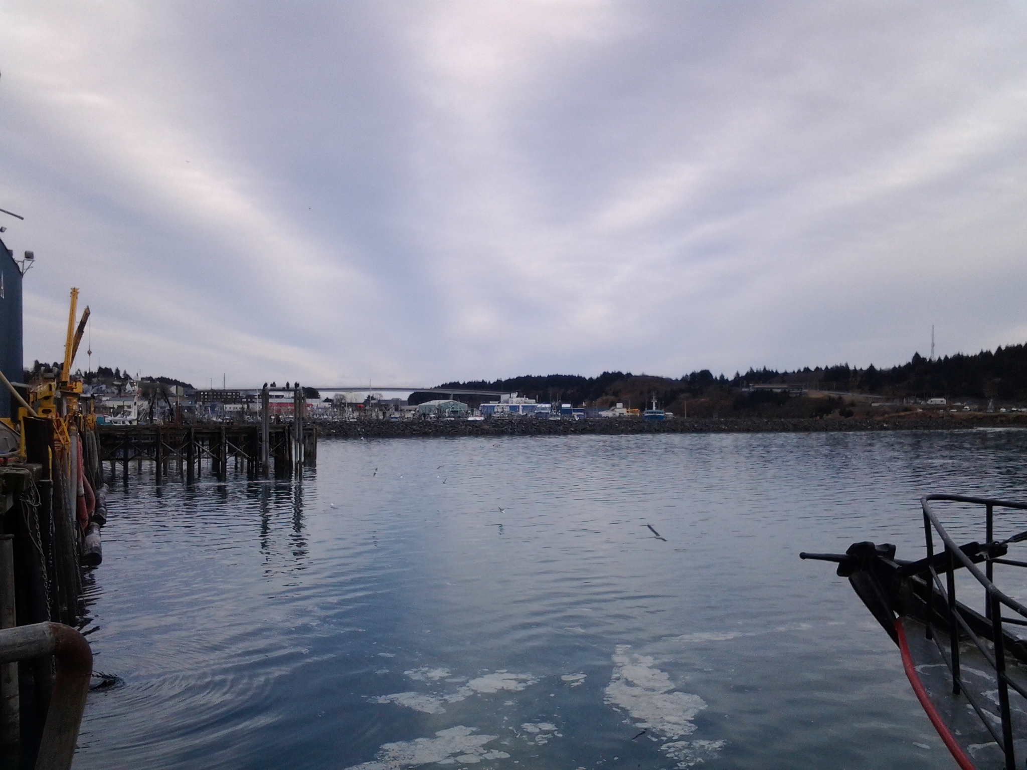 20130127_115630.jpg