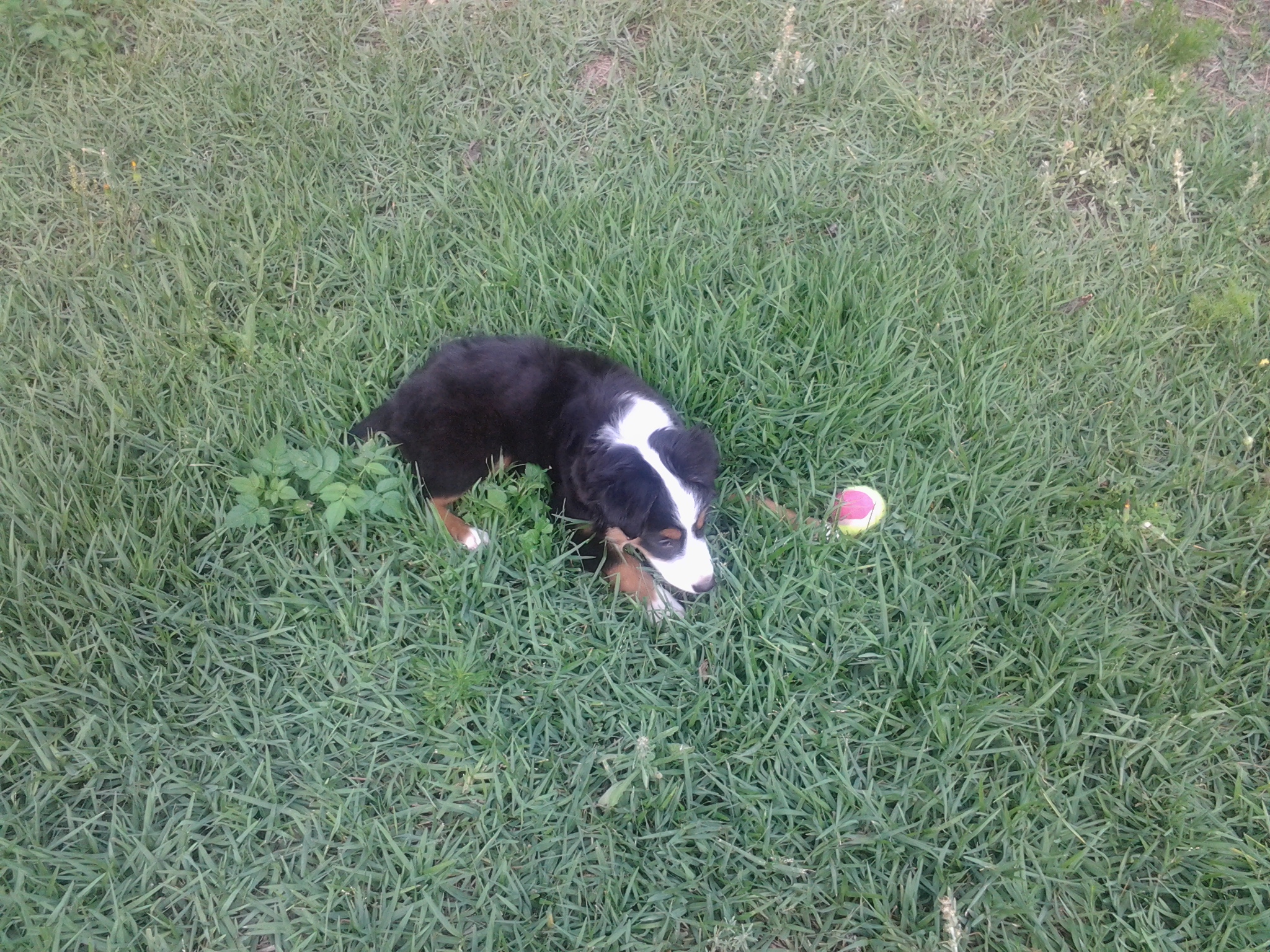 20130531_165552.jpg