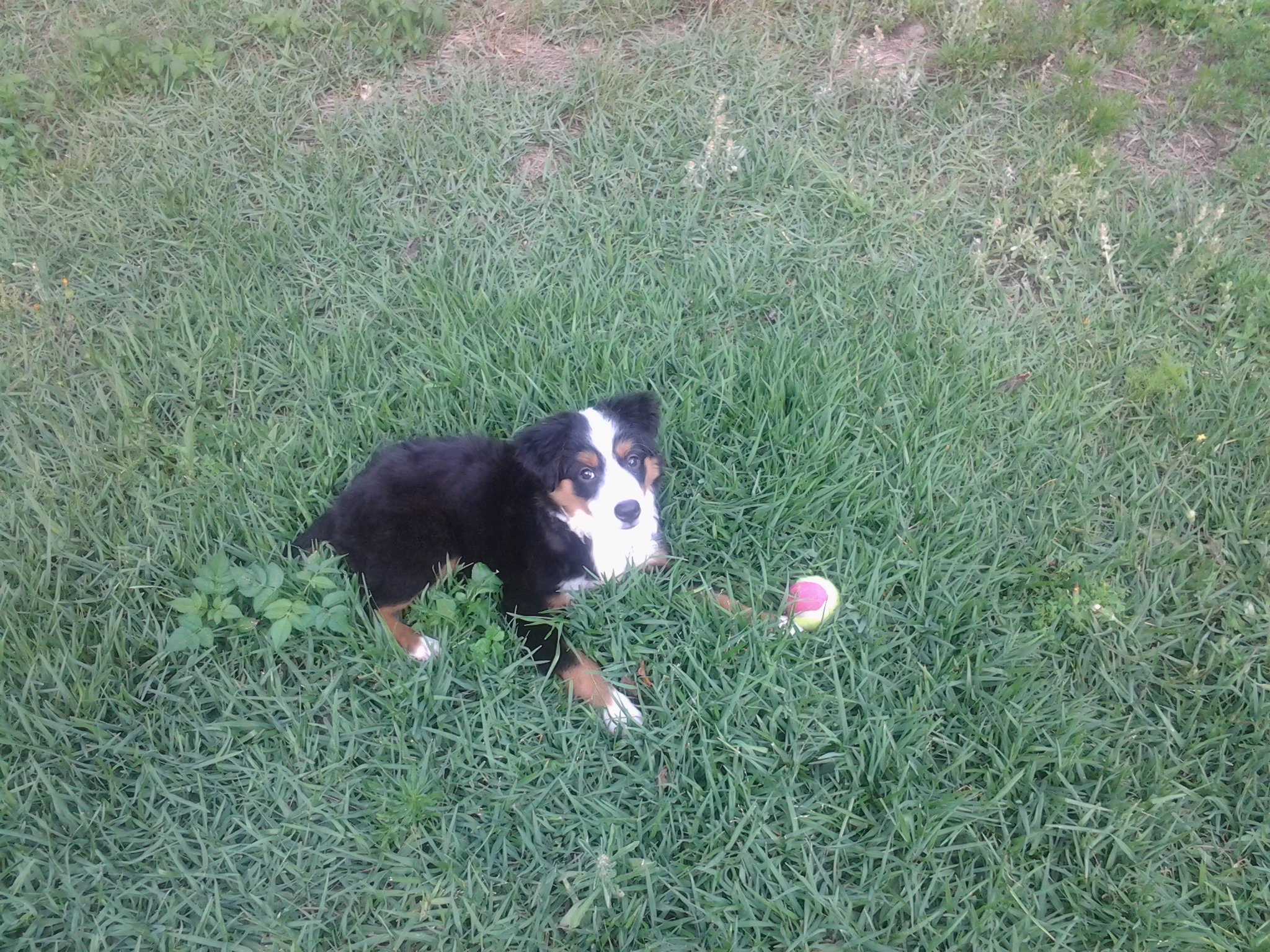 20130531_165602.jpg