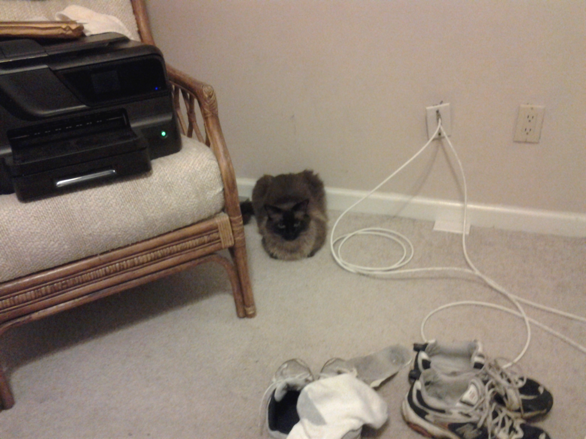 20130903_231814.jpg