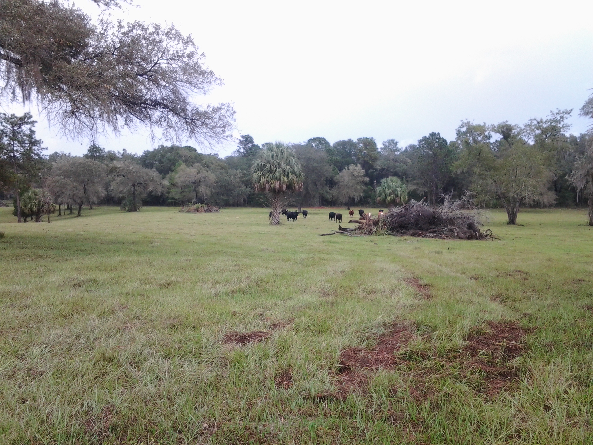 20131102_123200.jpg