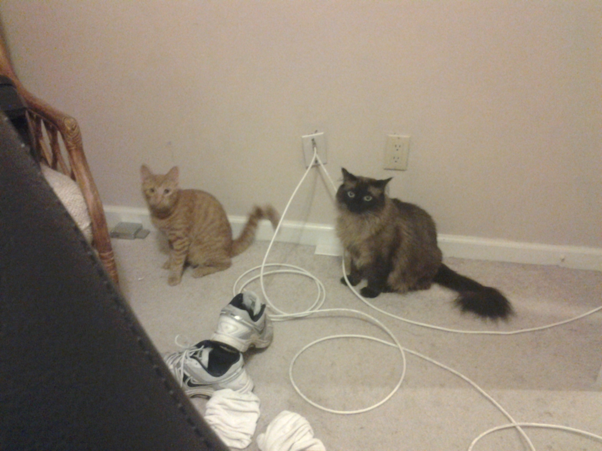20131110_224932.jpg